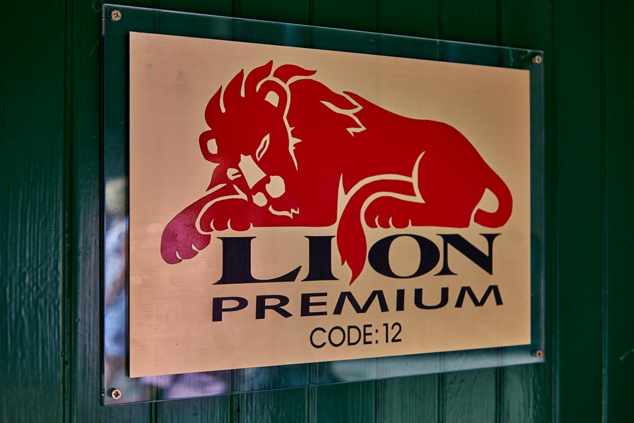 Lion Premium Hotel ブダペスト エクステリア 写真